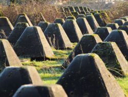 Searching for the forgotten heroes of World War Two