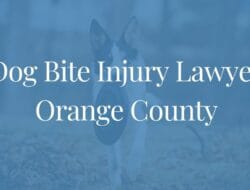 Orange County Dog Bite Attorneys Protecting Your Rights