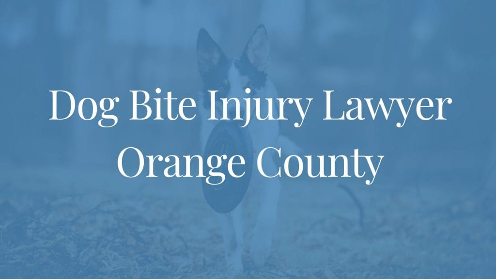 Orange county dog bite attorneys