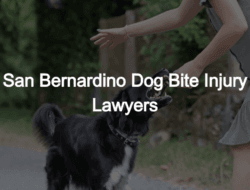 San Bernardino Dog Bite Attorney Protecting Your Rights
