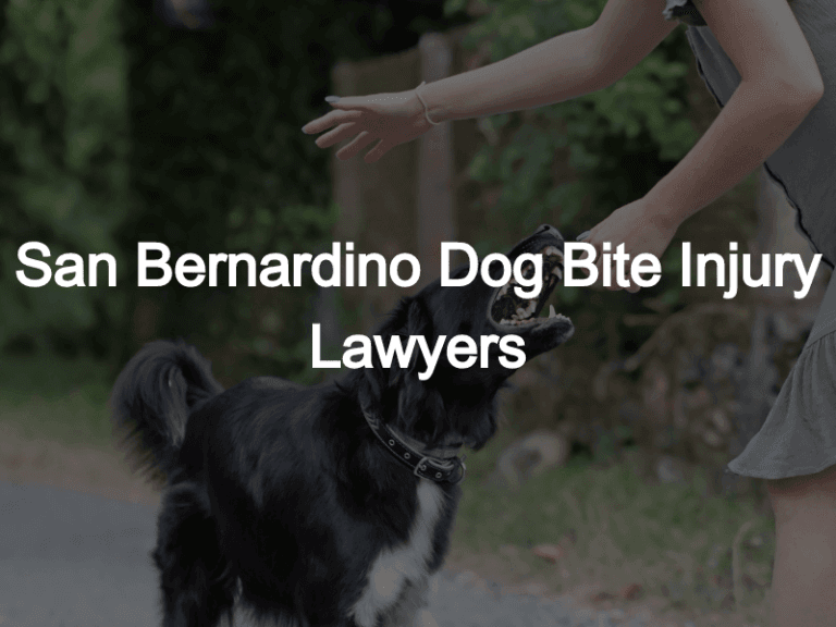 San bernardino dog bite attorneys