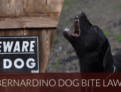 Dog Bite Attorney San Bernardino Protecting Your Rights