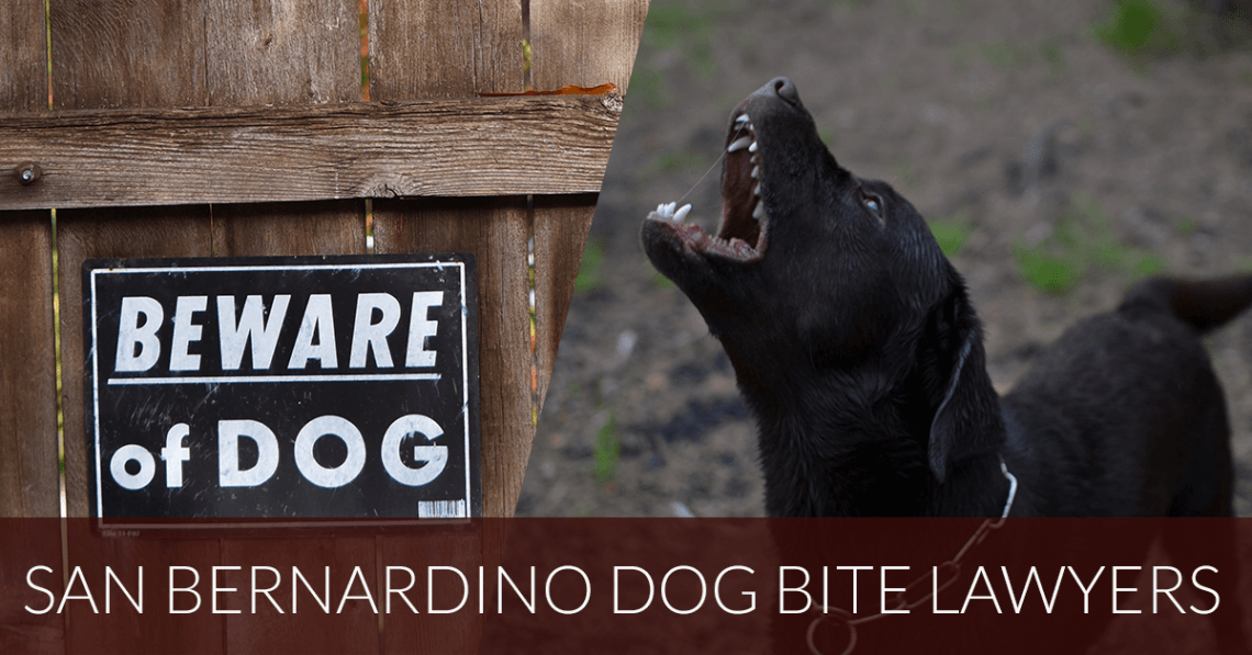 Bite dog lawyer dogs ban attack propsocial property injuries reviews