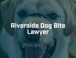 Riverside Dog Bite Attorney Your Rights & Legal Options