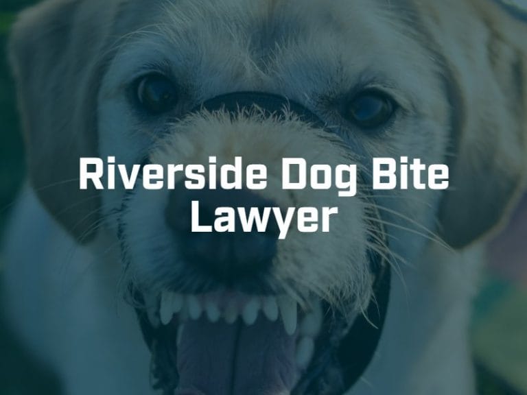 Riverside dog bite attorney