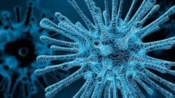 Human Metapneumovirus (HMPV)