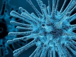 Wabah Virus HMPV Merebak di China, Pemerintah Perketat Pengawasan di Pintu Masuk Wilayah Indonesia