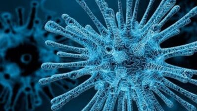 Human Metapneumovirus (HMPV)