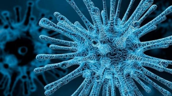 Human Metapneumovirus (HMPV)