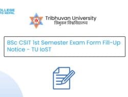 Information Technology 1st Year Subjects