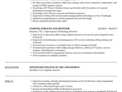 Information Technology Director