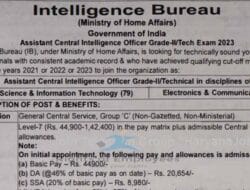 Information Technology Officer 1 Salary Grade