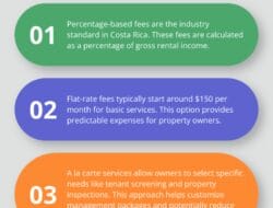 It Management Fees