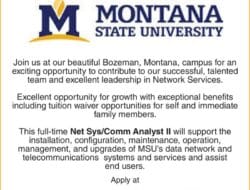 Technology Management Jobs Near Me