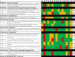 Technology Management Questions