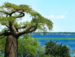 Tourism Destinations In Botswana