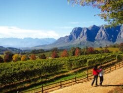 Tourism Spots In South Africa