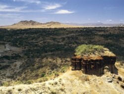 Tourist Attractions In Africa