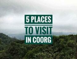 Where Can I Go For A One Day Trip Near Me