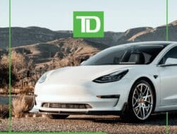 Car Insurance Td