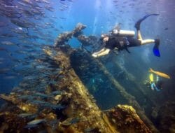 Diving Insurance Indonesia