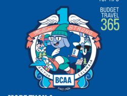 Does Bcaa Do Car Insurance