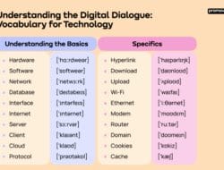Information Technology Vocabulary