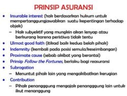 Insurable Insurance Adalah