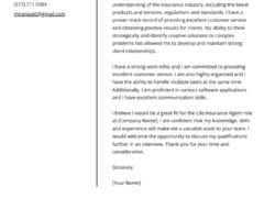 Insurance Agent Job Description