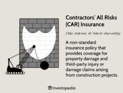 Insurance Cat X Meaning