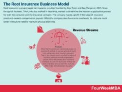 Insurance Company Revenue