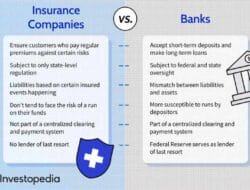 Insurance Company X Is Considering Issuing