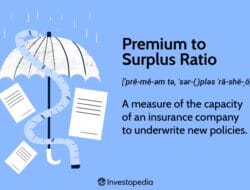 Insurance Gwp Meaning