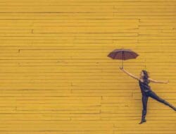 Insurance Oopm Meaning