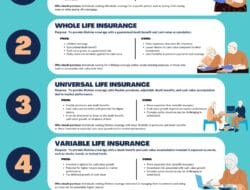 Insurance Policy Application