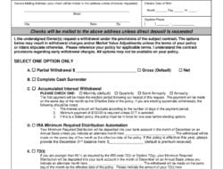 Insurance Policy Number Check