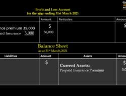 Insurance Premium In Balance Sheet