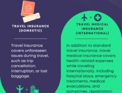 Insurance Vertical Meaning