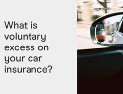 Insurance Xs Meaning
