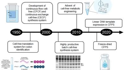Technology Development Yield Engineer