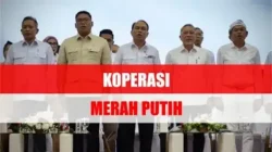Ini Cara Agar Bisa Jadi Pengurus Koperasi Merah Putih, Dapat Gaji Rp8 Juta?