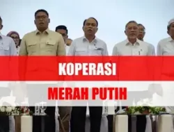 Ini Cara Agar Bisa Jadi Pengurus Koperasi Merah Putih, Dapat Gaji Rp8 Juta?