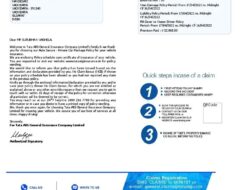 Aig Car Insurance Malaysia Review