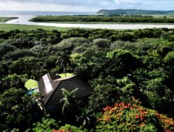 Best Holiday Destinations In South Africa For Families