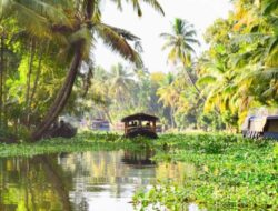 Best Tour Destinations In Kerala
