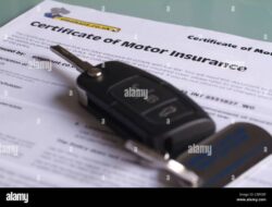 Car Insurance Validity