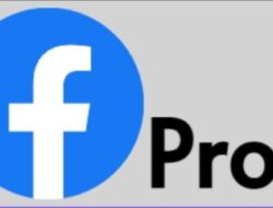 Cara Monetisasi Facebook Mode Profesional