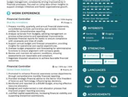 Finance Controller Adalah