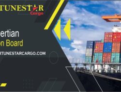 Free Insurance Artinya