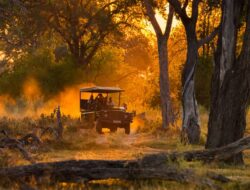 How Many Tourists Visit Botswana Each Year